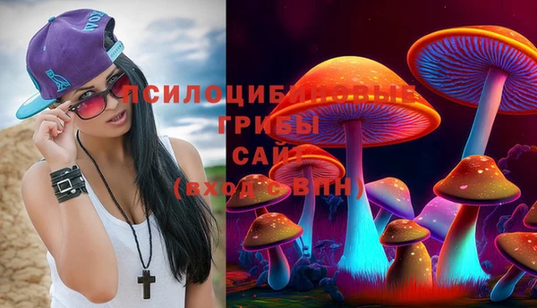 СК Бородино